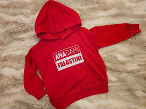 Kids Ana Dami Falastini Hoodie