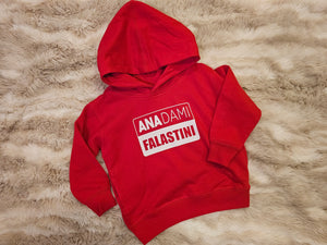 Kids Ana Dami Falastini Hoodie